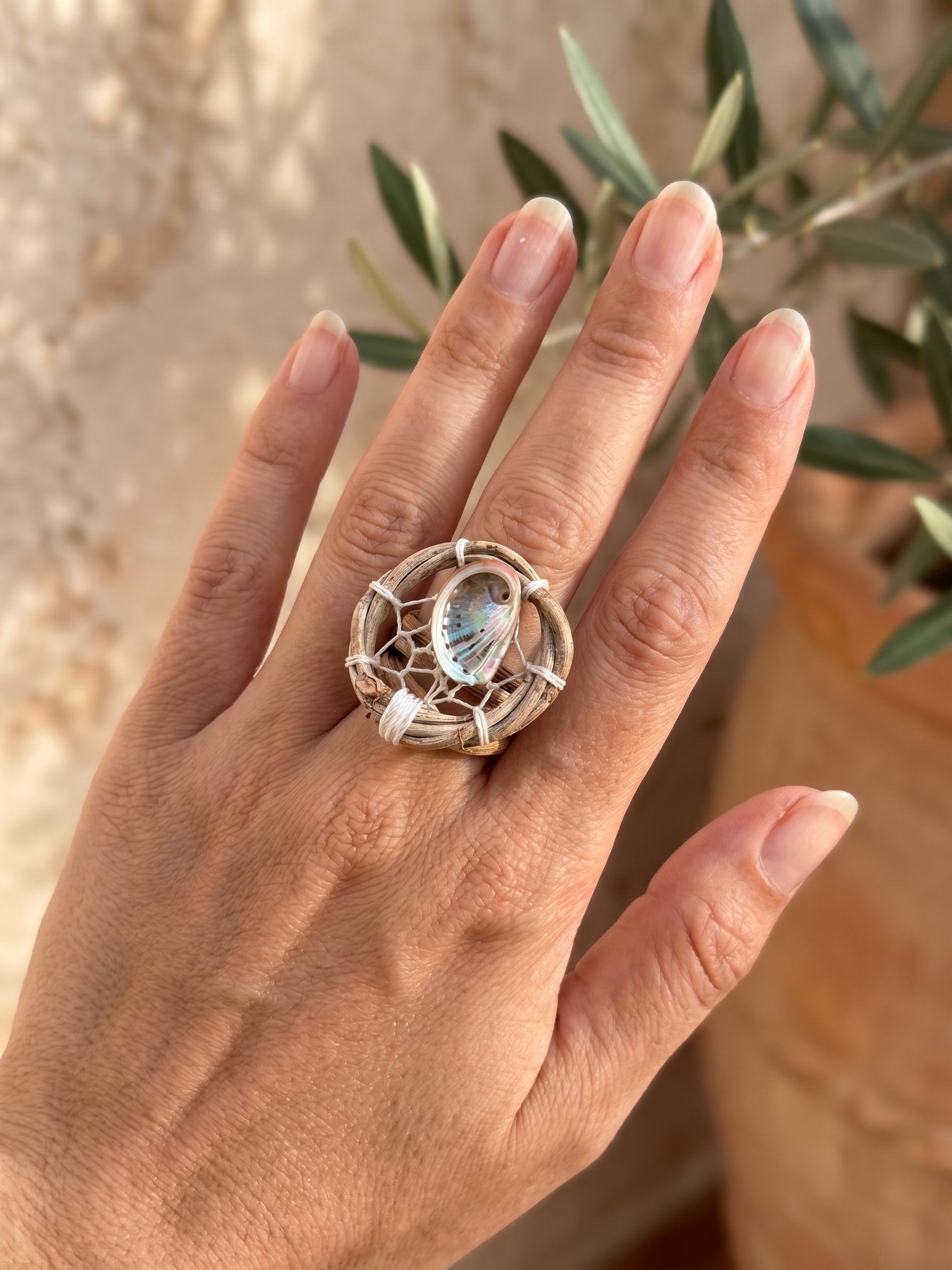 Anillo con oreja de mar o con concha